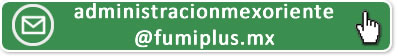 Correo Electrónico 1