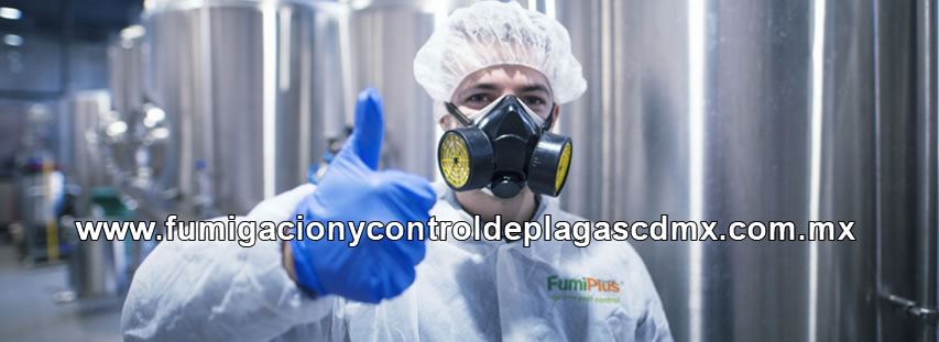 Control de Plagas y Fumigación Industrial en CDMX y Estado de México